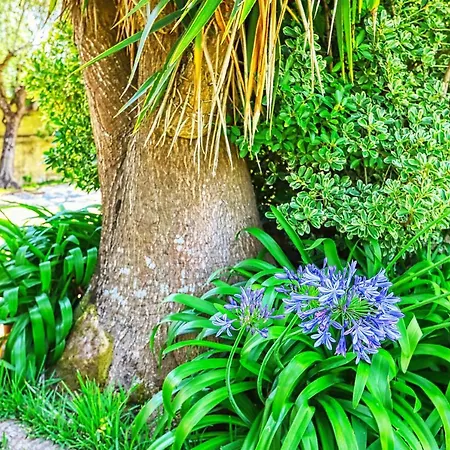 Lugar Saloio Sintra Frühstückspension